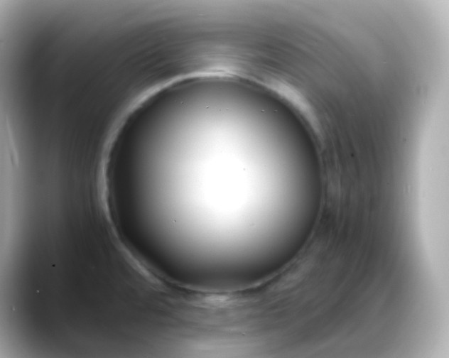 X0000088461480200706051315