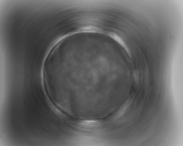 X0000088461482200706051315