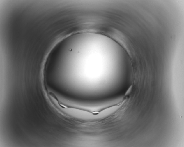 X0000088461483200706051315