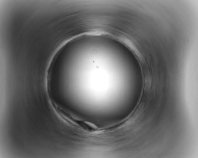 X0000088461484200706051315