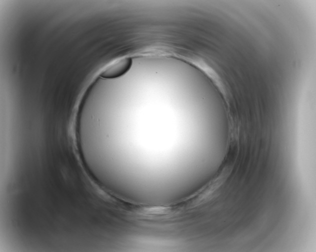 X0000088461486200706051315