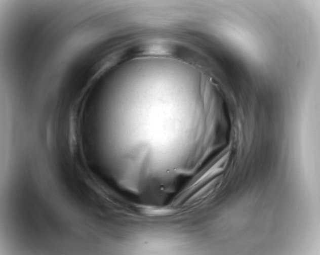 X0000088461487200706051315