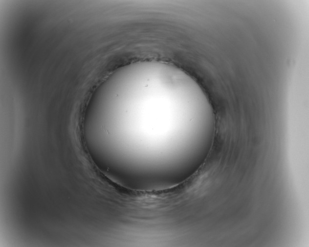 X0000088461489200706051315