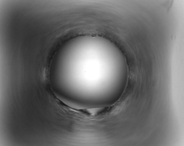 X0000088461490200706051315