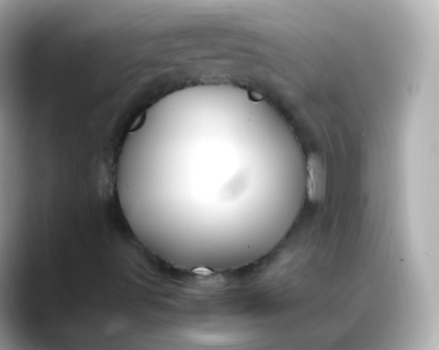 X0000088461491200706051315