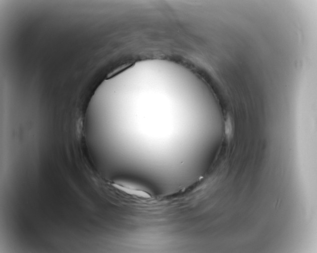 X0000088461492200706051315