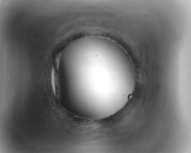 X0000088461493200706051315