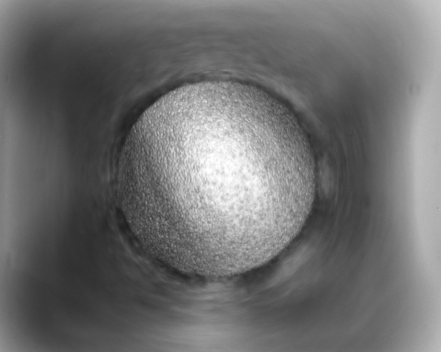 X0000088461494200706051315