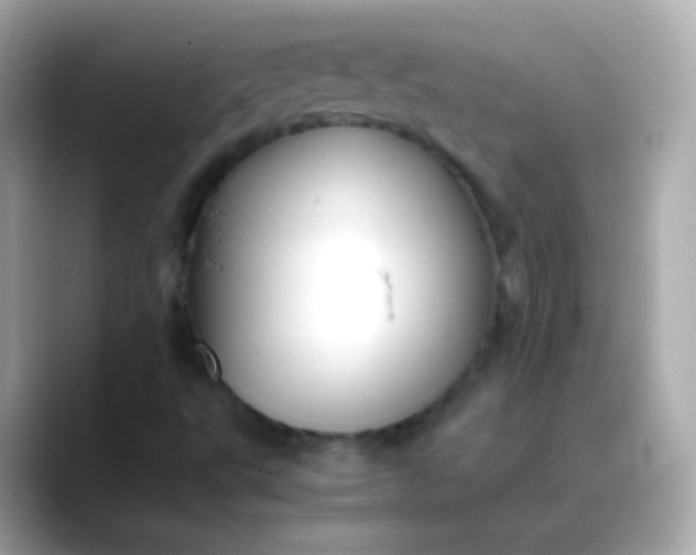 X0000088461495200706051315