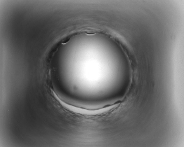 X0000088461496200706051315