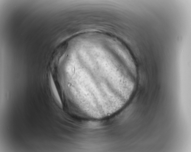 X0000088461497200706051315