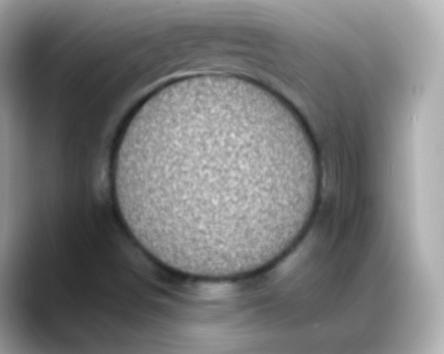 X0000088461498200706051315