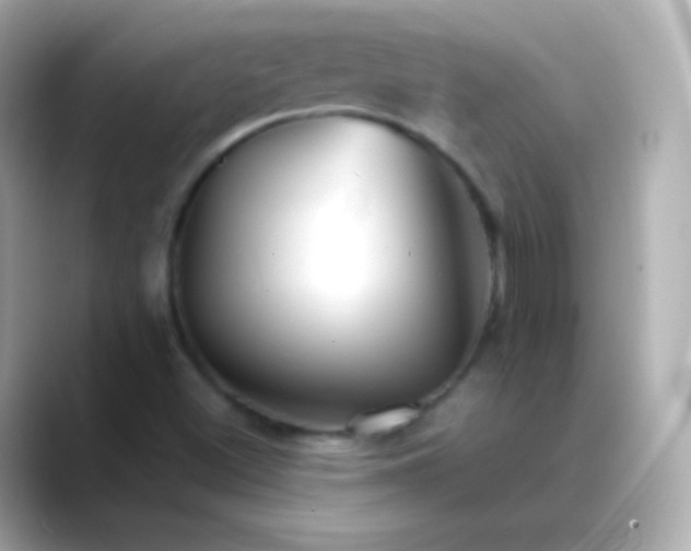 X0000088461500200706051315