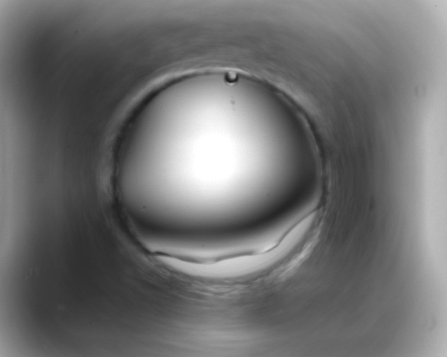 X0000088461502200706051315