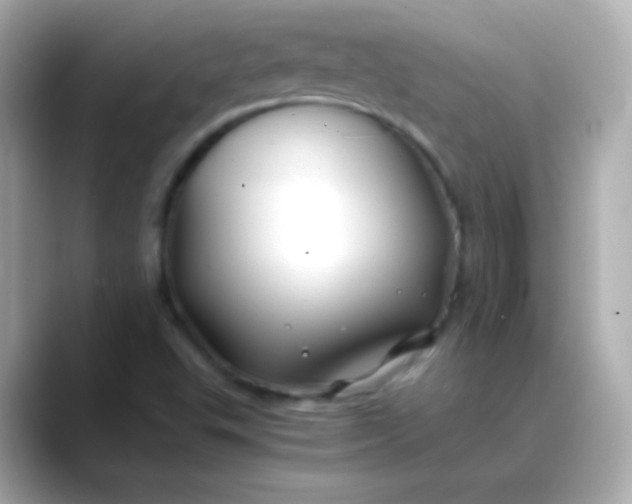 X0000088461503200706051315