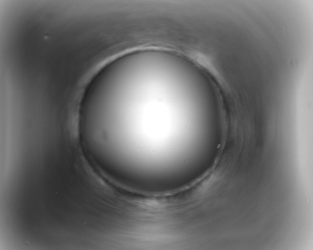 X0000088461504200706051315