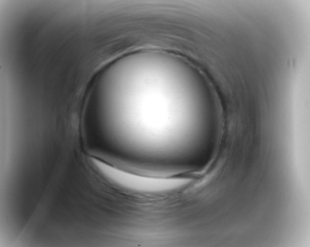 X0000088461505200706051315