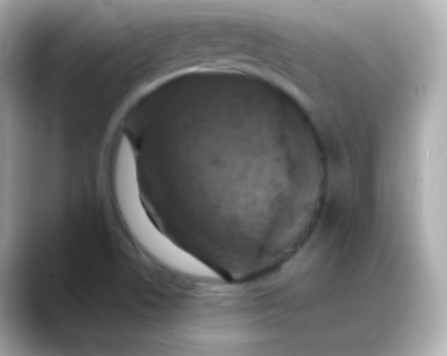 X0000088461506200706051315