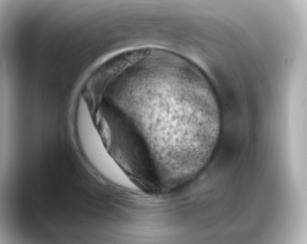 X0000088461508200706051315