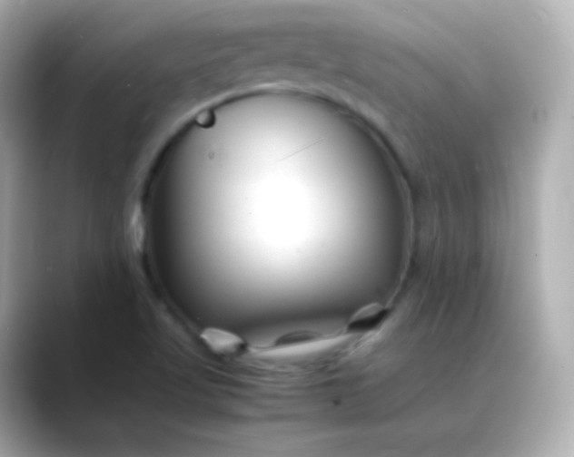 X0000088461509200706051315