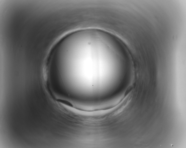 X0000088461510200706051315