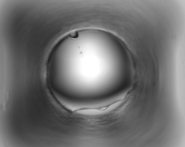 X0000088461511200706051315