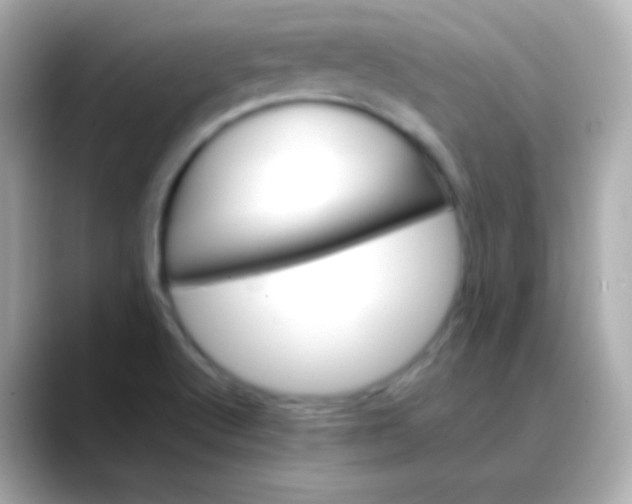 X0000088461512200706051315