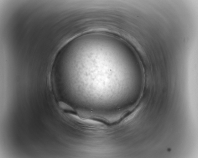 X0000088461513200706051315