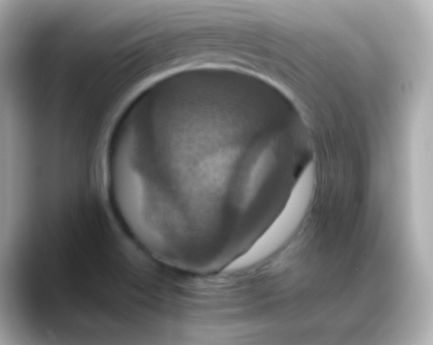 X0000088461515200706051315