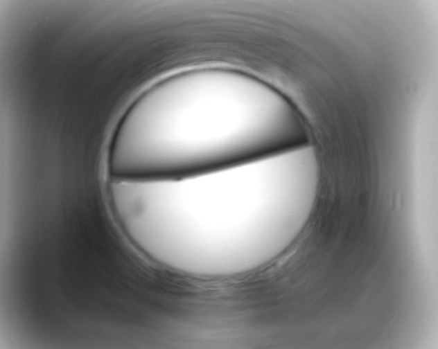 X0000088461516200706051315