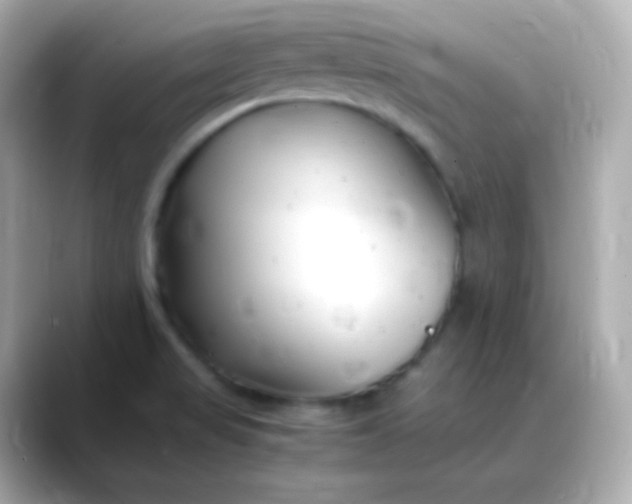 X0000088461517200706051315