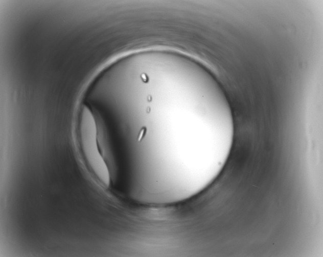 X0000088461518200706051315