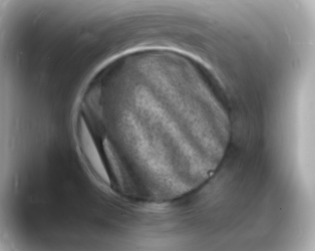 X0000088461519200706051315