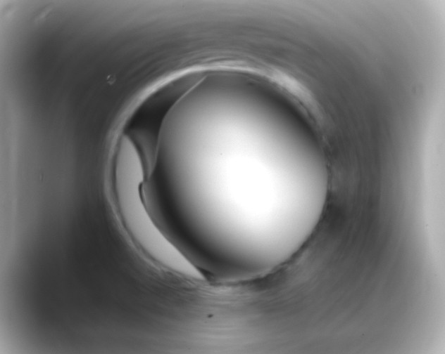 X0000088461520200706051315