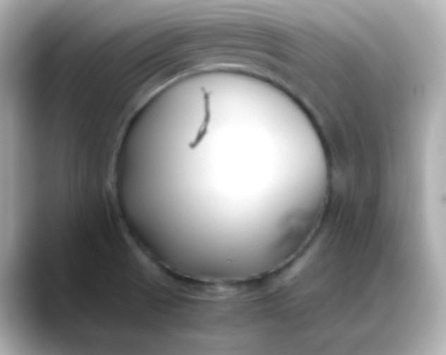 X0000088461521200706051315