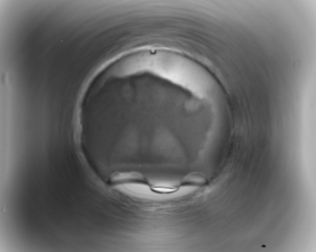 X0000088461522200706051315