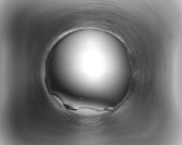 X0000088461523200706051315