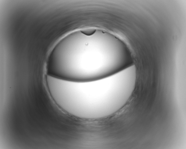 X0000088461524200706051315