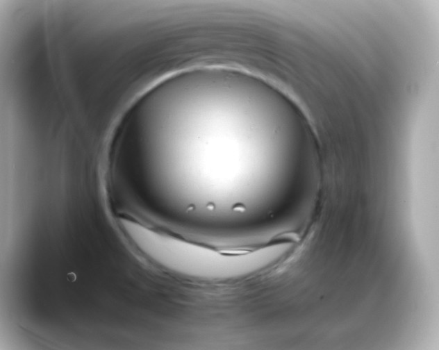 X0000088461525200706051315