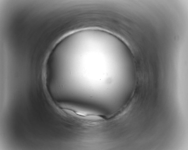 X0000088461526200706051315