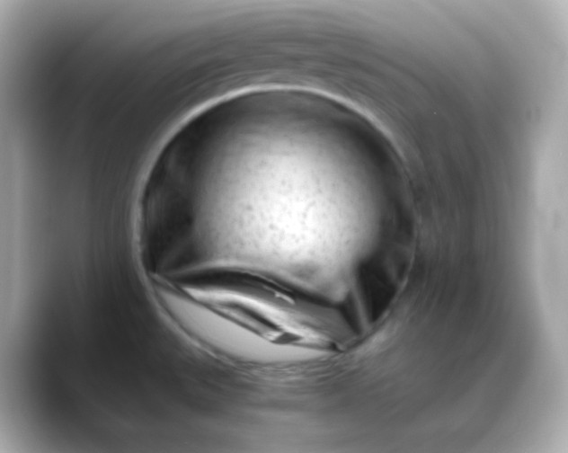 X0000088461527200706051315