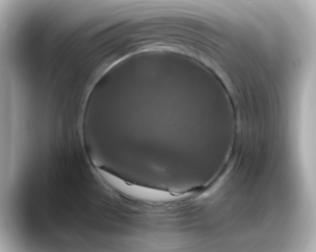 X0000088461529200706051315