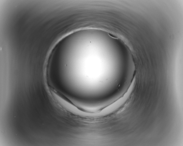 X0000088461530200706051315