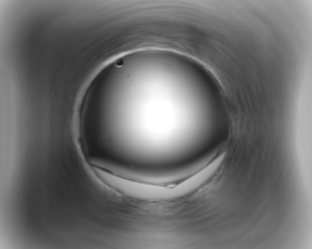 X0000088461531200706051315