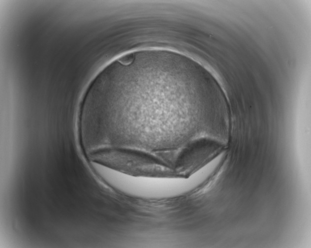 X0000088461533200706051315