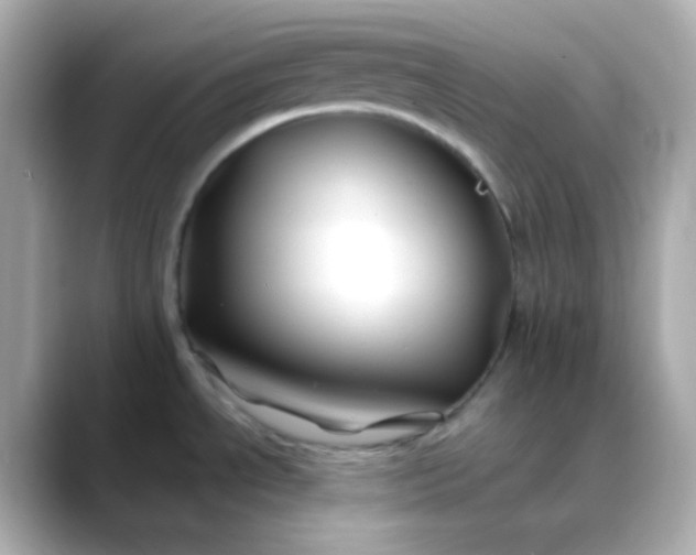 X0000088461534200706051315