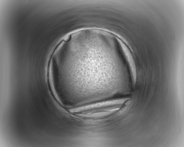 X0000088461535200706051315