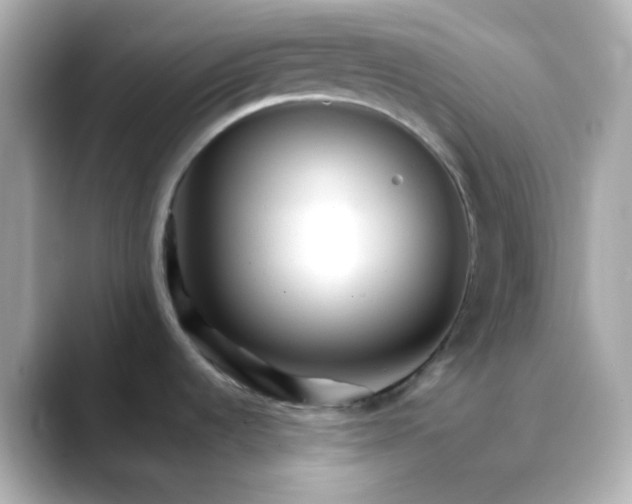 X0000088461536200706051315