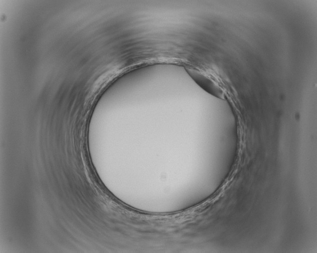 X0000088460001200706121516