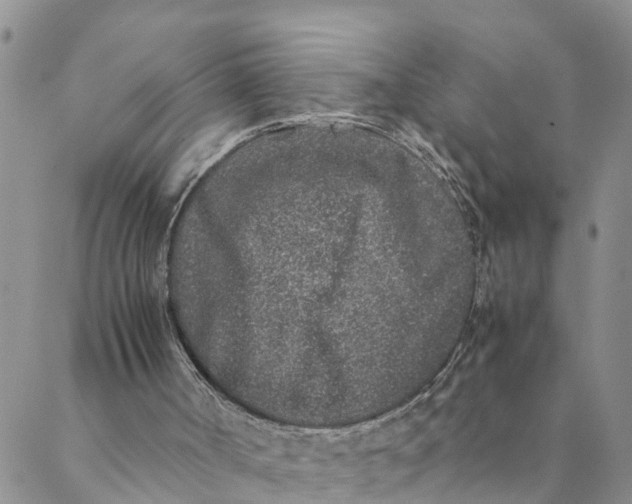 X0000088460002200706121516